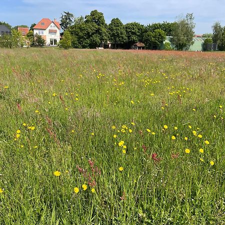Villa Magnolia B&B Oostkamp Dış mekan fotoğraf